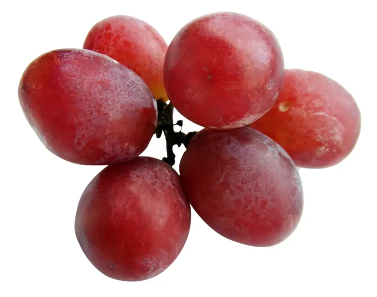 Fresh Bunch of Red Grapes