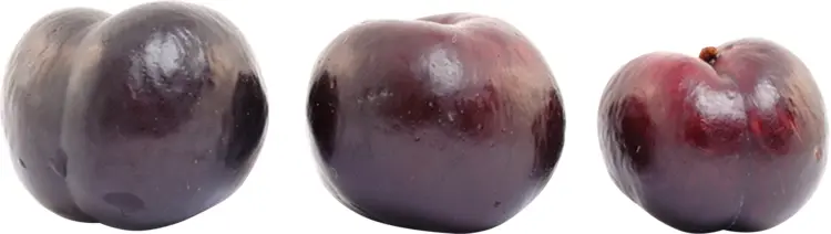 Juicy Dark Plums