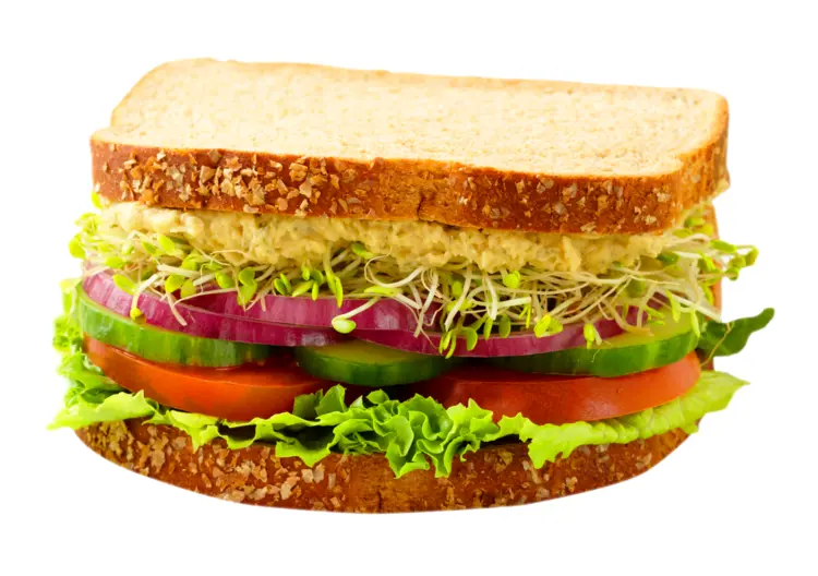 Healthy Vegetable Sandwich