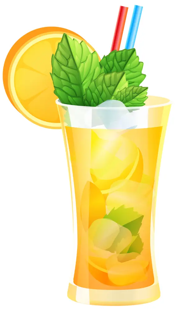 Refreshing Lemon Drink with Mint