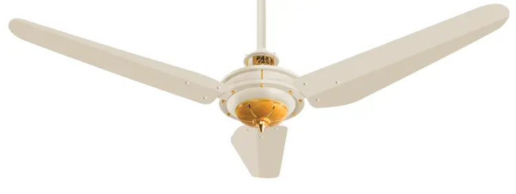 White Ceiling Fan