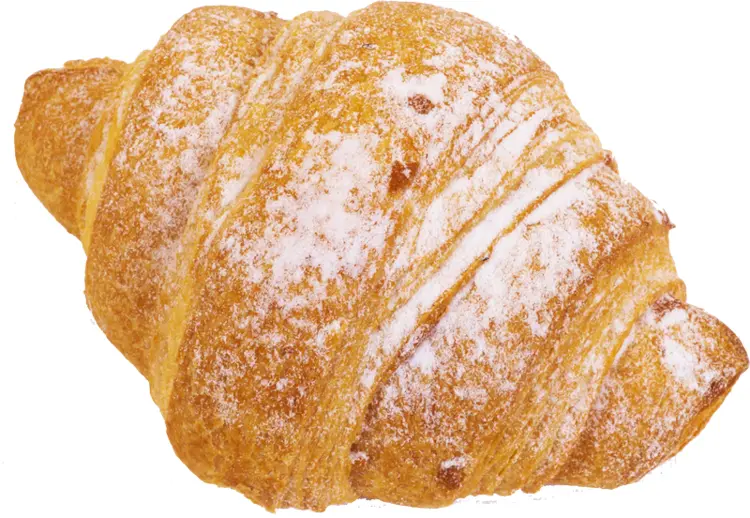 Delicious Powdered Croissant