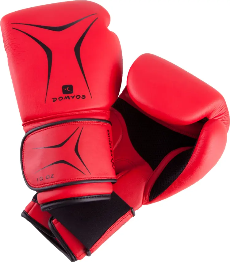 Red Domyos Boxing Gloves