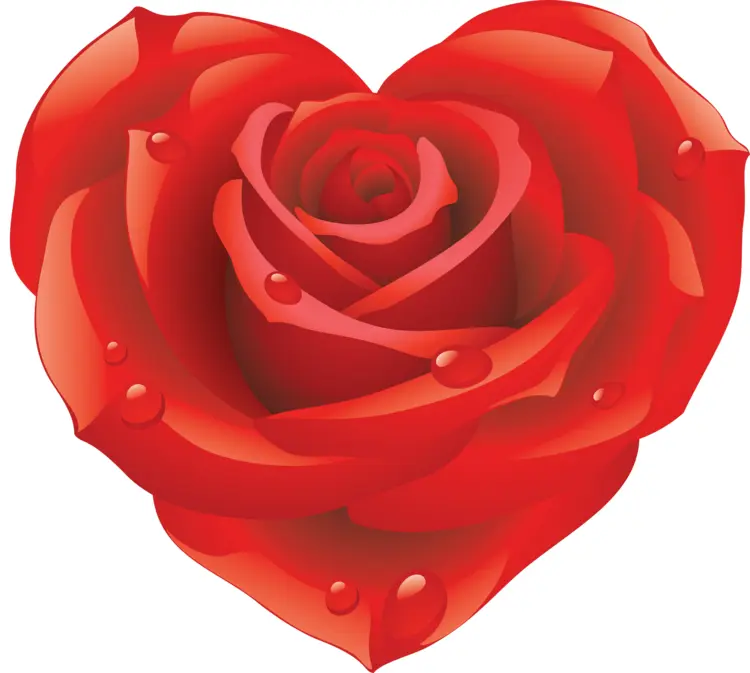 Beautiful Red Rose Heart
