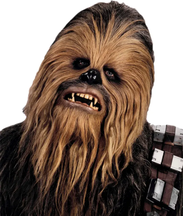 Chewbacca with Brown Fur
