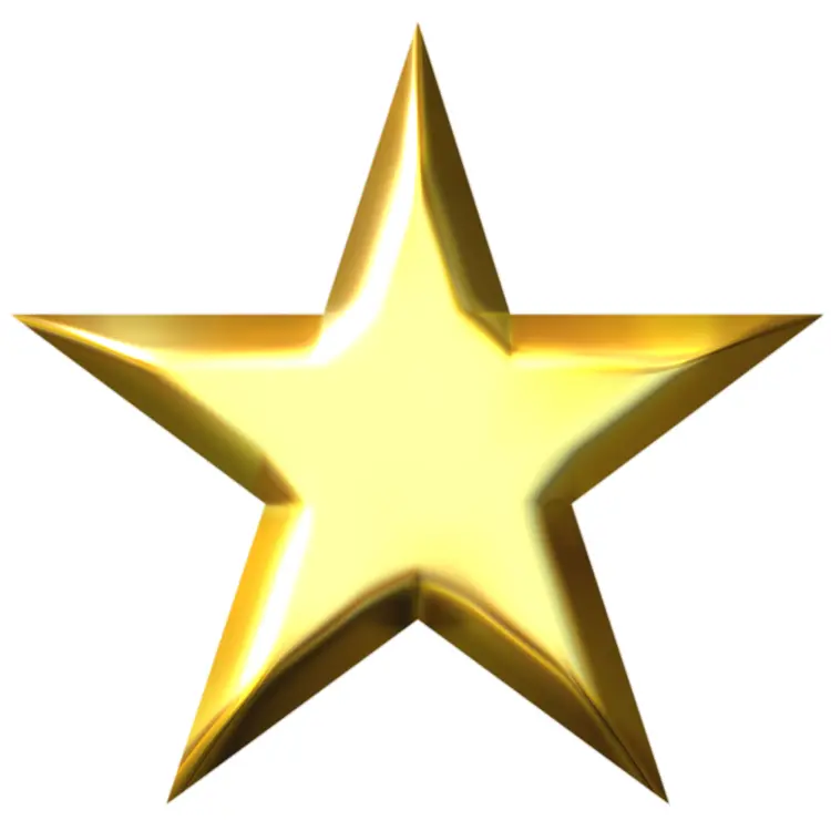 Shiny Golden Star Shape Symbol