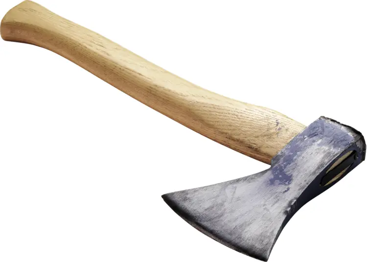 Old Woodcutting Axe