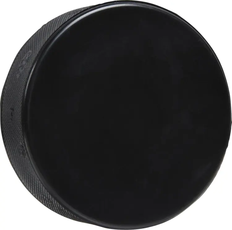 Black Hockey Puck for Ice Hockey Game