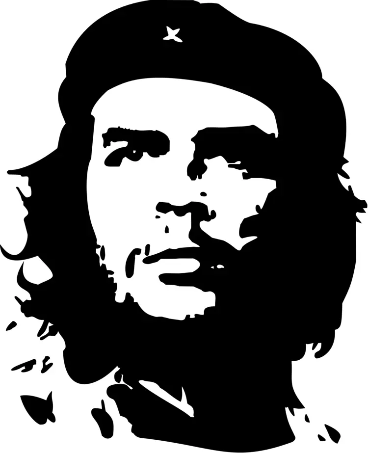 Iconic Black and White Portrait Illustration