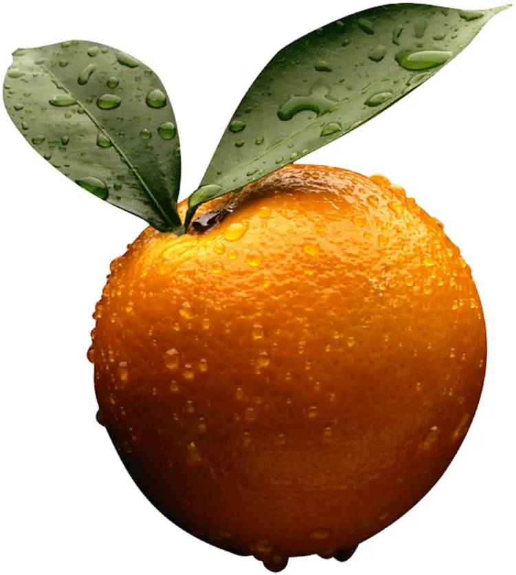 Orange with Water Droplets