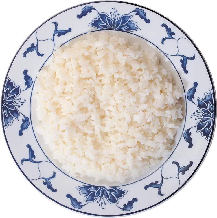 Bowl of Cooked Rice