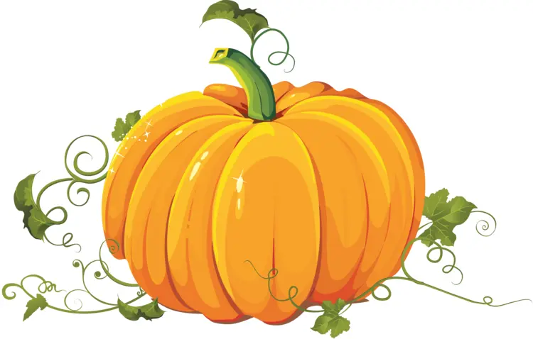 Bright Orange Pumpkin for Autumn