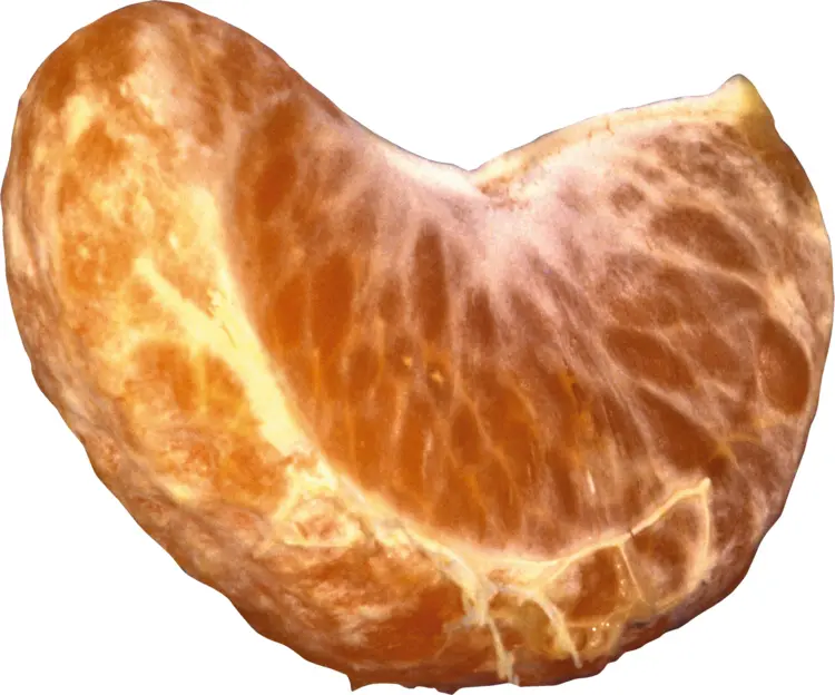 Single Orange Mandarin Segment