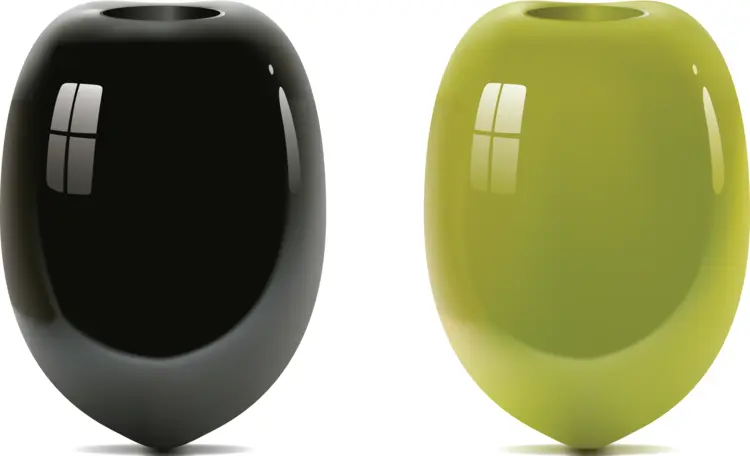 Green and Black Olives