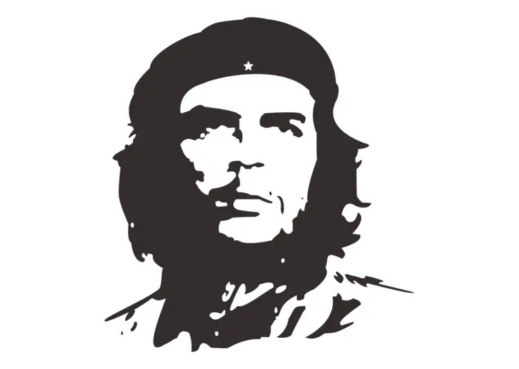 Iconic Black and White Portrait Illustration