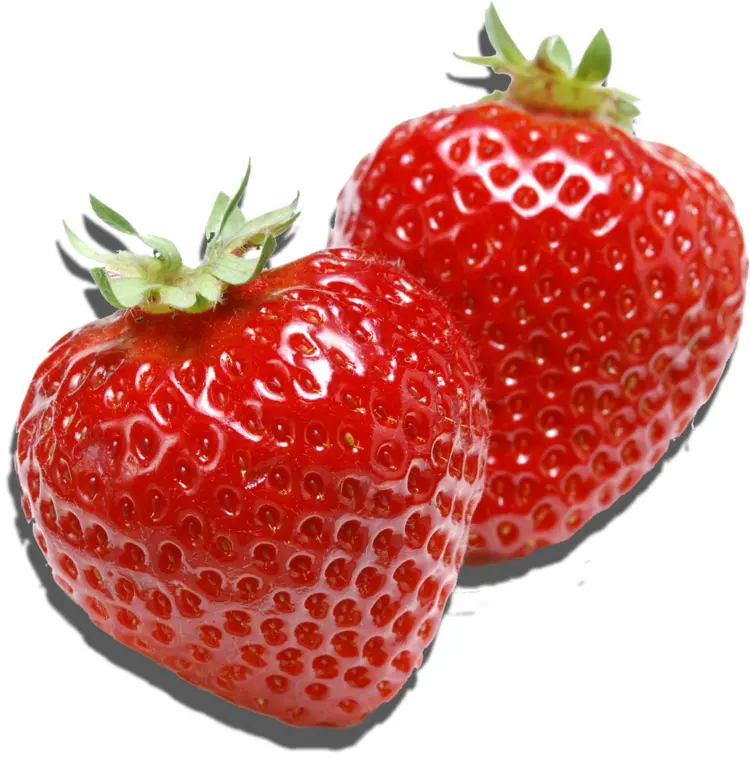Fresh Red Strawberries