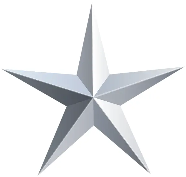 3D Silver Star Icon