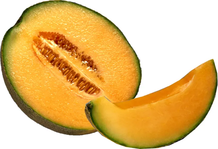 Orange Melon Slice and Whole