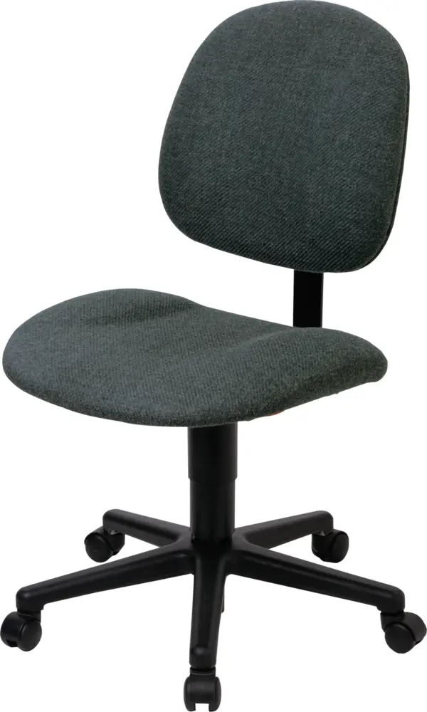 Ergonomic Office Chair with Wheels
