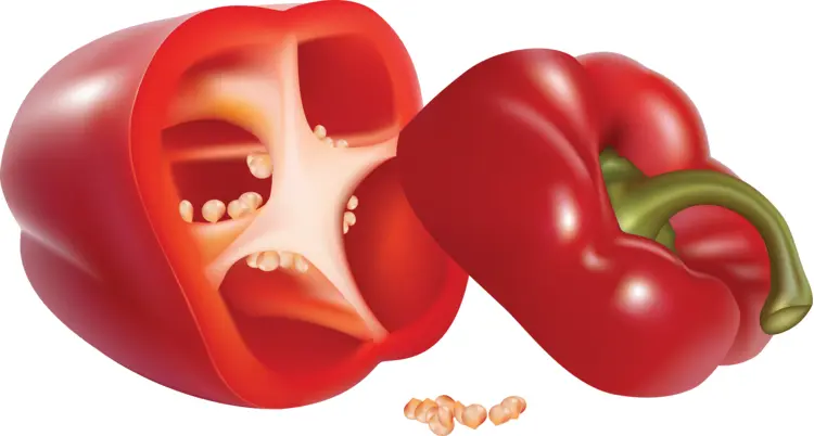 Red Bell Pepper Cut Open