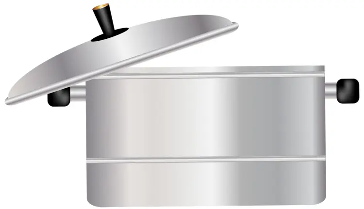 Silver Cooking Pot with Lid