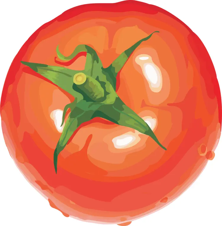 Organic Heirloom Tomato for Fresh Meals
