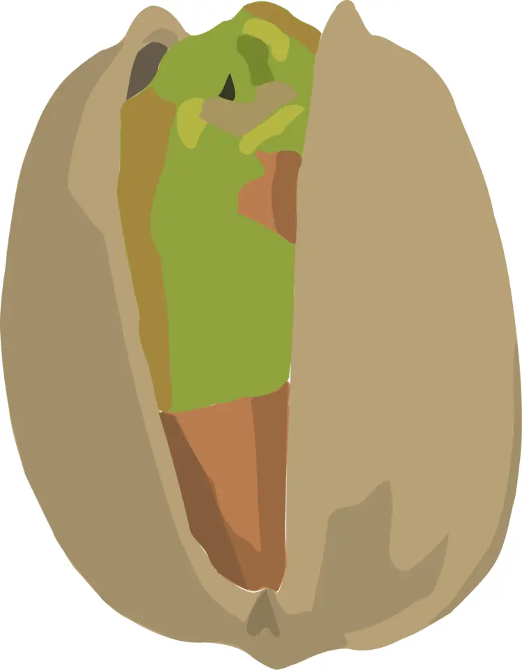 Open Pistachio Nut
