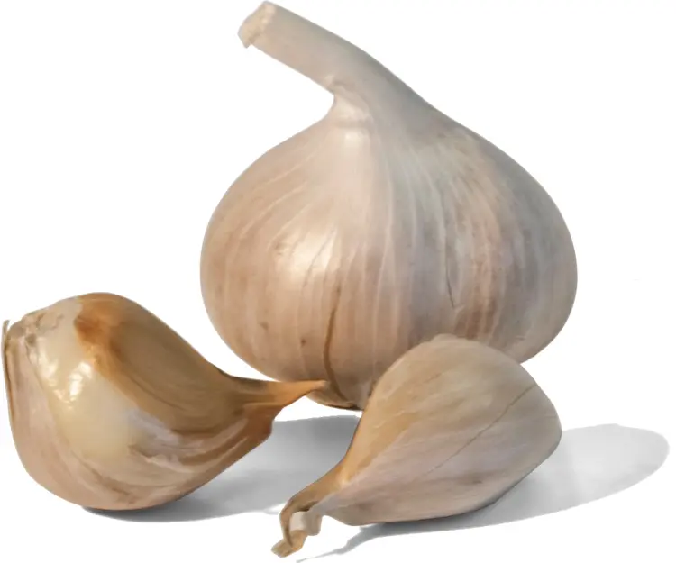 Garlic Bulb with Cloves