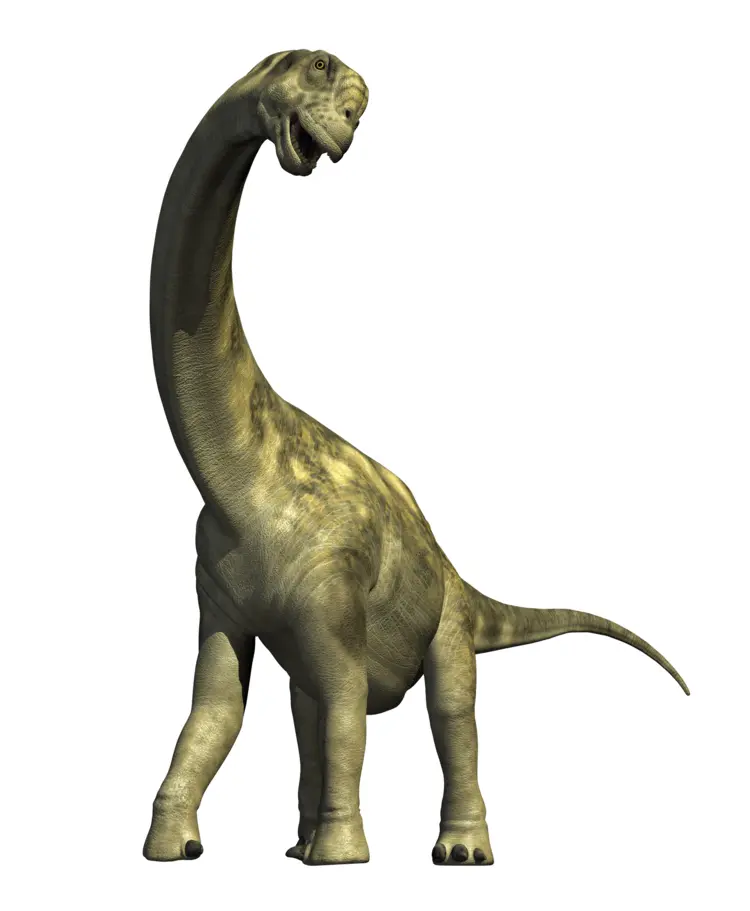 Long-necked Dinosaur Standing