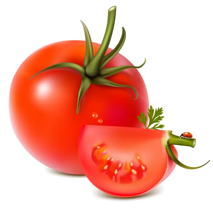 Red Tomato with Slice