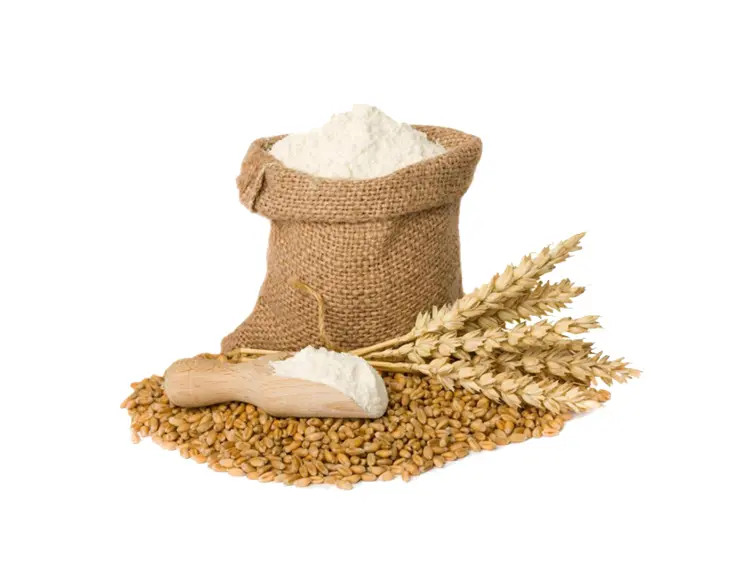 Flour in Sack with Wheat Grains