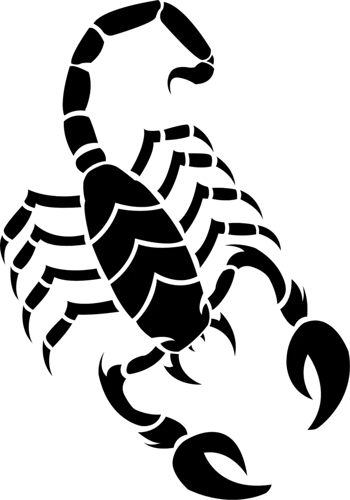 Scorpion Silhouette with Curved Tail