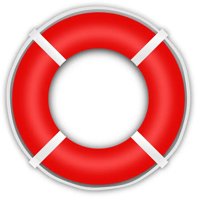 Red Lifebuoy for Water Safety