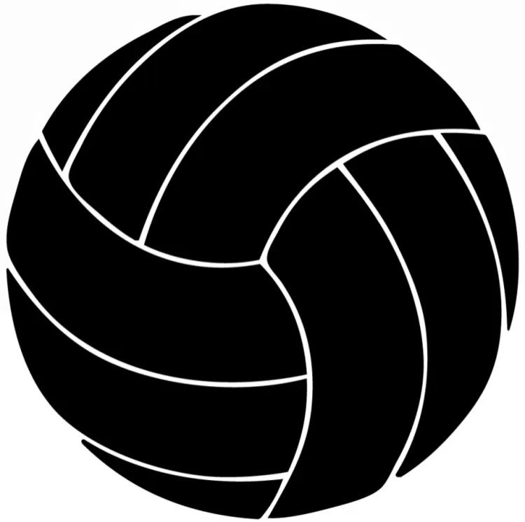 Black Volleyball Illustration