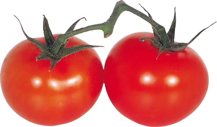 Two Fresh Red Tomatoes
