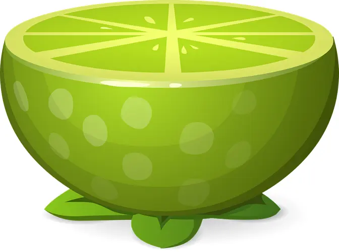 Half Lime Slice