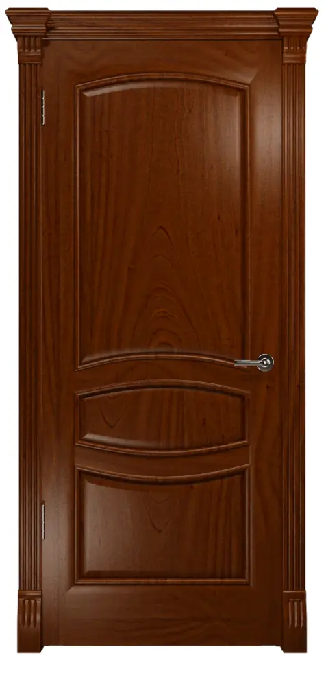 Closed Brown Wooden Door