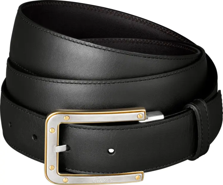 Black Leather Belt with Gold and Silver Buckle
