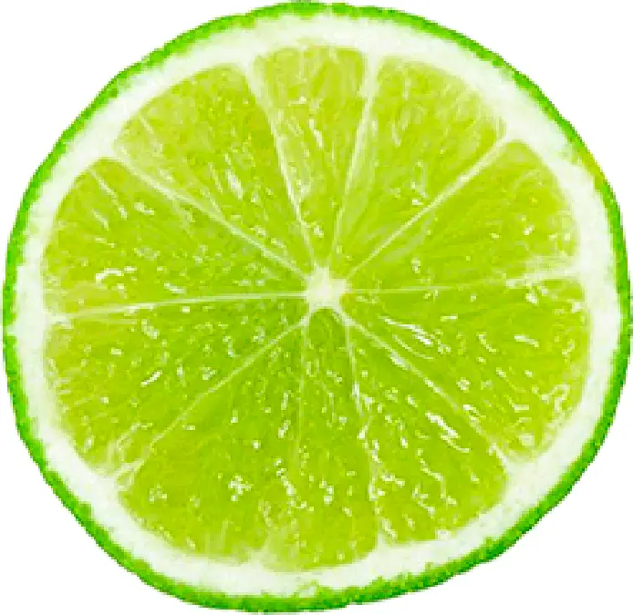 Lime Slice