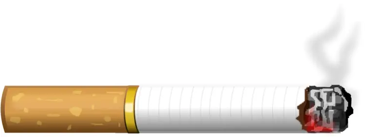 Burning Cigarette with Smoke