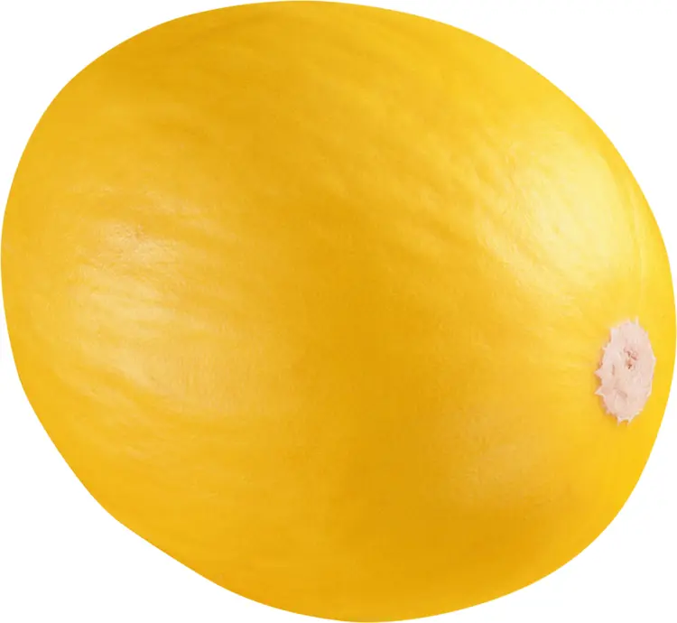 Whole Yellow Melon