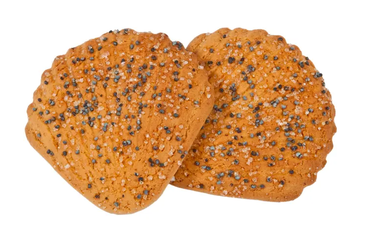 Two Seeded Cookies