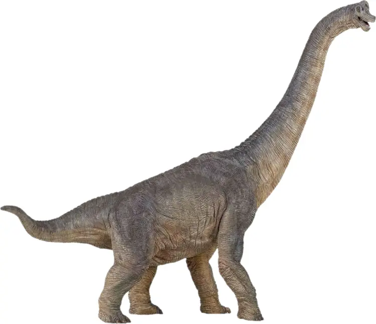 Tall Dinosaur with Long Neck