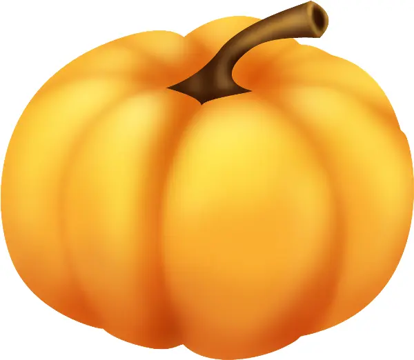 Yellow Pumpkin with Brown Stem