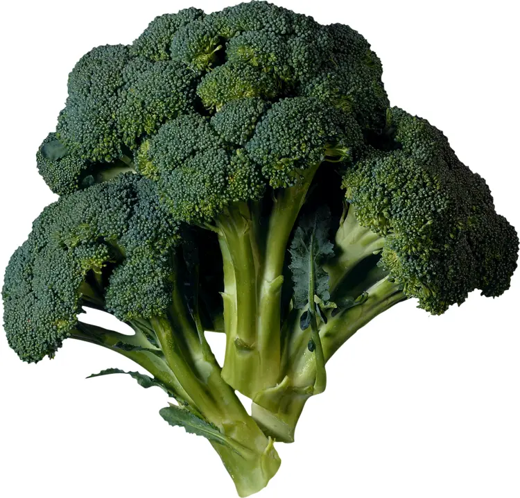Fresh Green Broccoli