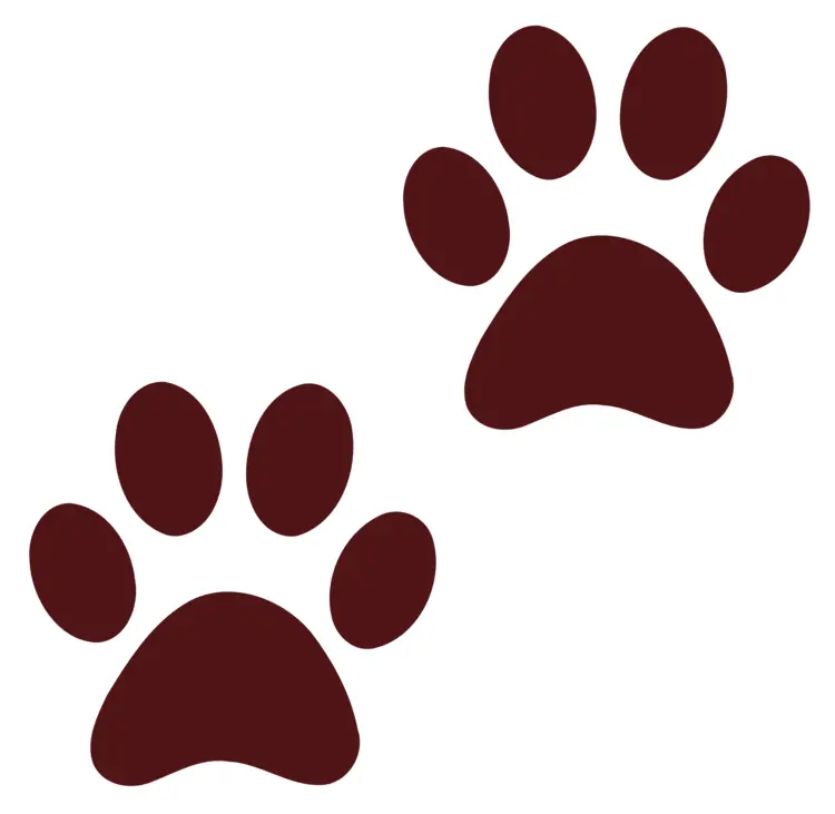 Brown Paw Prints on Transparent Background