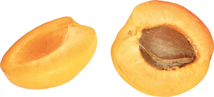 Two Halves of Fresh Apricot