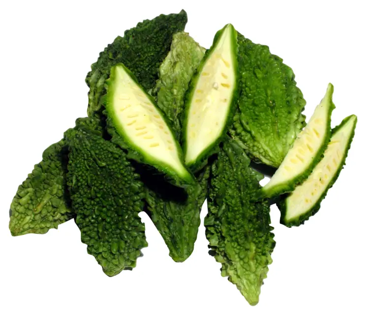 Green Bitter Melon Slices