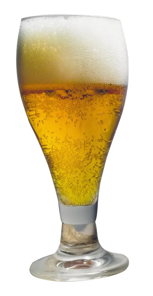 Cold Foamy Glass of Beer