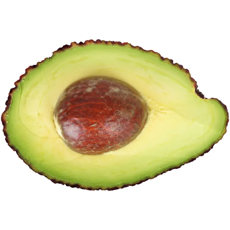 Cut Avocado with Seed